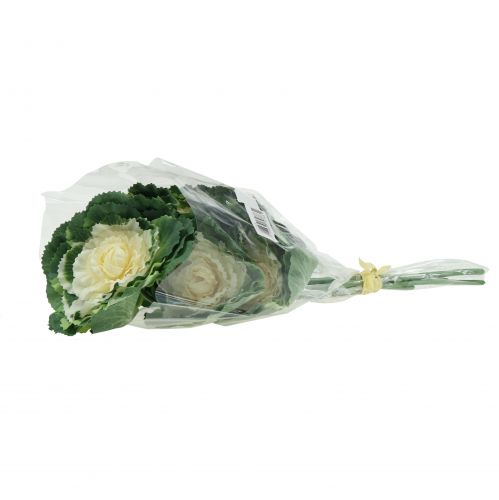 Floristik24 Artificial cabbage white, green 25cm 6pcs