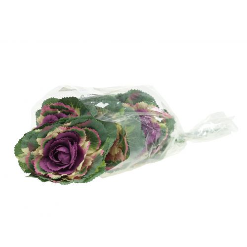 Floristik24 Artificial cabbage purple, green 25cm 6pcs