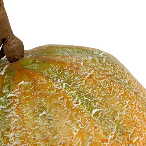 Product Decorative melon cantaloupe Ø14cm