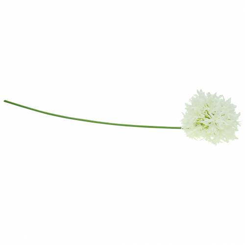 Product Ornamental onion Allium artificial white Ø12cm H62cm