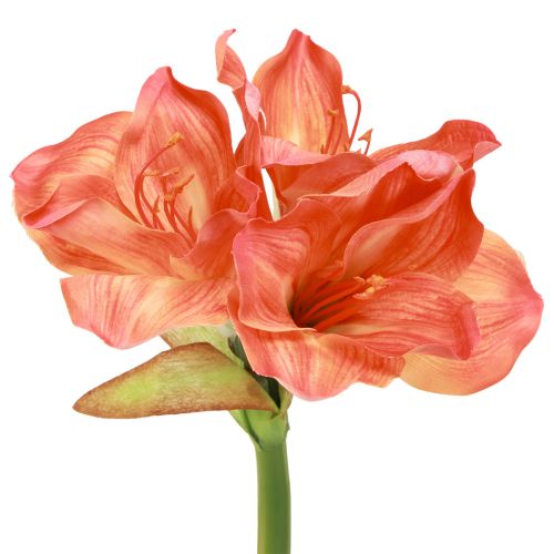 Amaryllis Decoration Flowers in Orange Artificial L55cm 2pcs