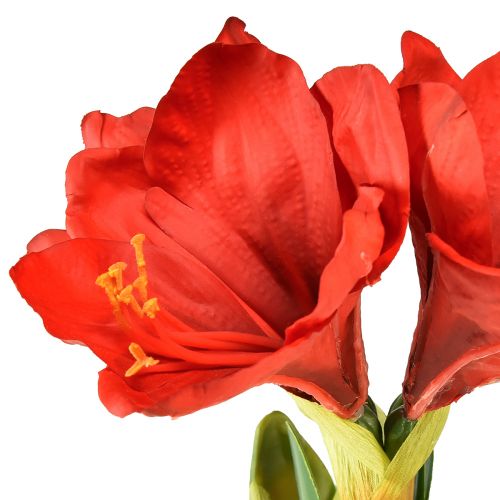 Product Amaryllis in moss ball artificial – bright red flowers, 49 cm – elegant and natural room decoration