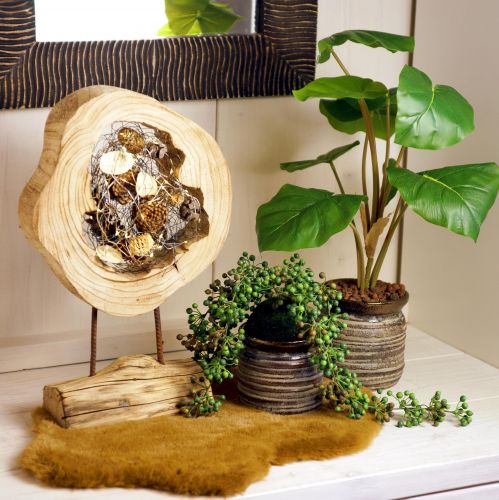 Rustic wooden ring on stand – Natural wood grain, 54 cm – Unique sculpture for stylish living ambience