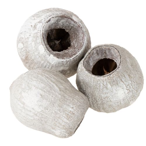 Product Bellgums whitewashed 2cm - 5cm 500g