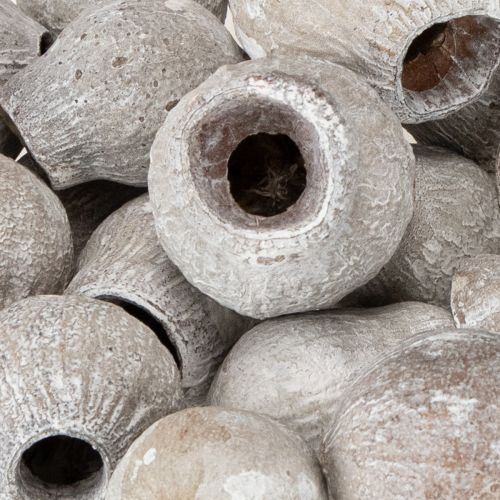 Product Bellgums whitewashed 2cm - 5cm 500g