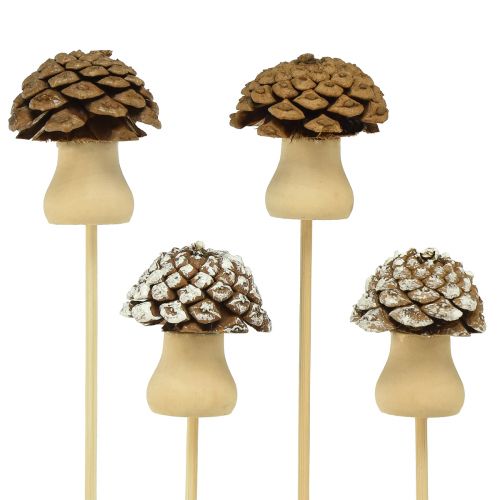 Floristik24 Flower plug cone mushroom decoration plug Advent 4.5cm 12pcs