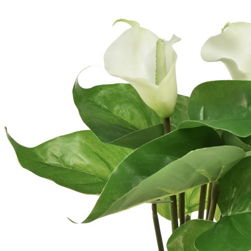 Product Calla Lily Kalla Artificial Flowers White Exotic Flowers 34cm