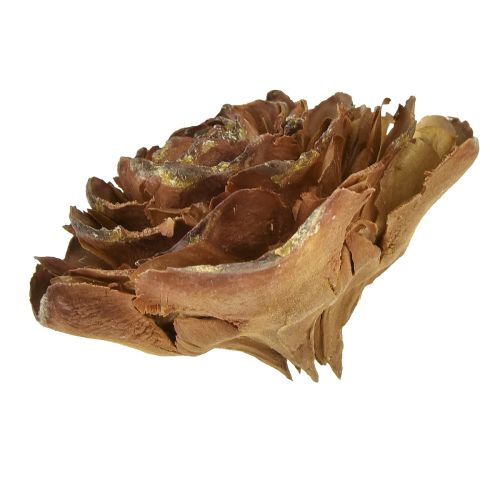 Product Cedar cones cut as rose Cedarrose 4-6cm natural 50pcs.