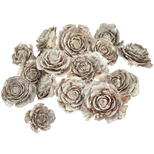Product Cedar cones cut like rose Cedarrose 4-6cm white/natural 50 pieces