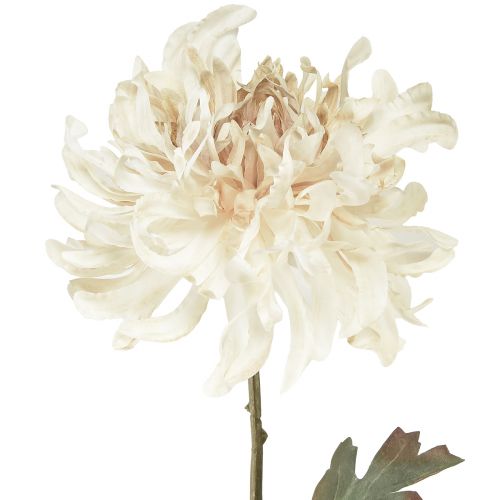 Product Chrysanthemums Artificial Decorative Flowers Cream L72cm 2pcs