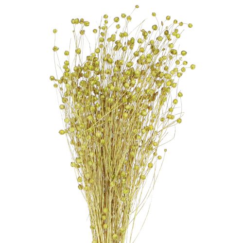 Decorative Flax Dried Flowers Olive Green 50g