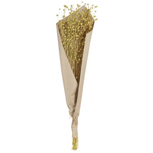 Product Decorative Flax Dried Dried Flowers Olive Green 50g