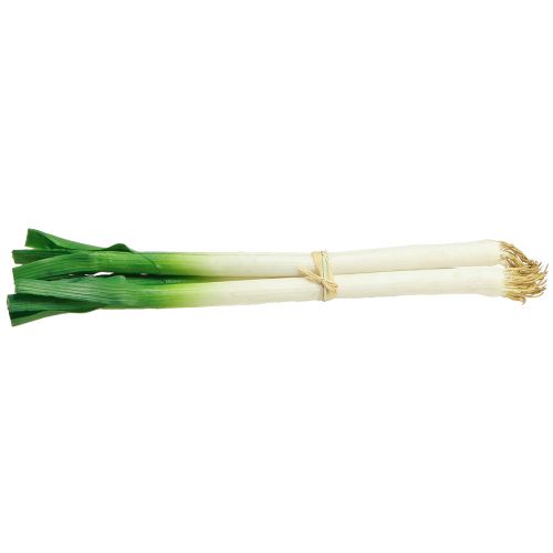 Product Decorative Vegetables Spring Onions Green White Ø1cm L28cm 3 pcs