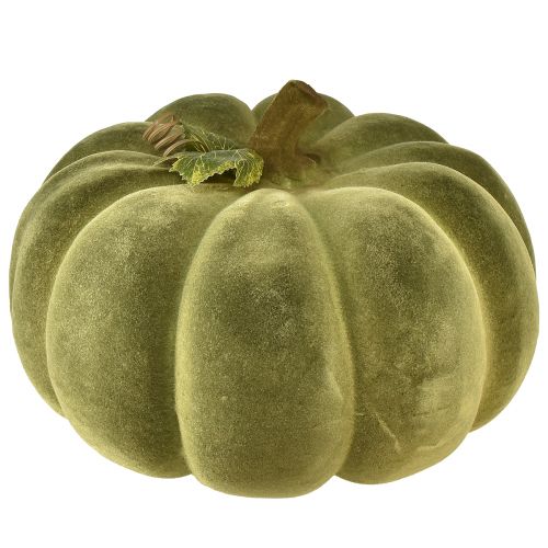 Floristik24 Decorative pumpkin flocked green – velvety-beautiful autumn decoration 32cm