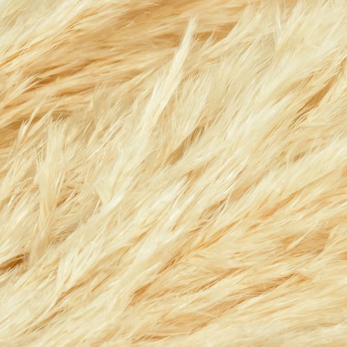 Product Decorative pampas grass cream dry grass bleached 95cm 3pcs