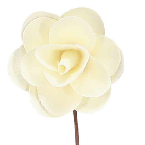 Decorative Roses Cream Artificial Roses made of wood Ø7cm 12 pcs