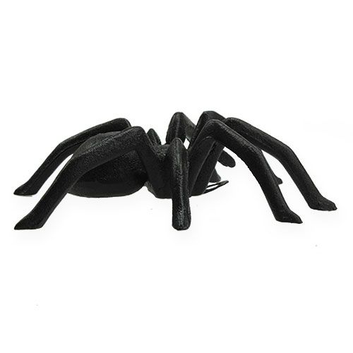 Floristik24 Spider Dark Brown 13.5cm