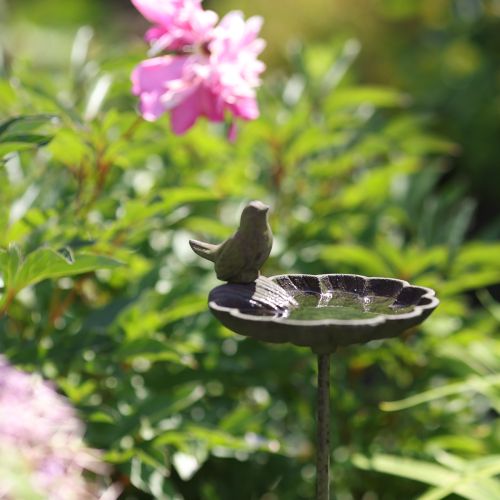 Product Decorative birdbath bowl metal antique green Ø16.5cm H34.5cm