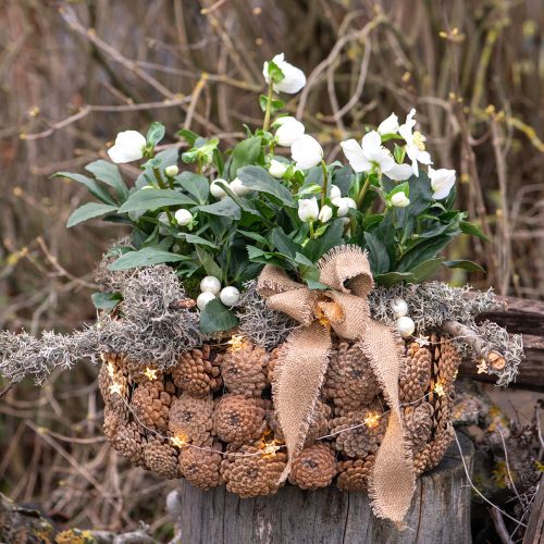 Product Decorative bowl pine cones in natural brown Ø35cm H15cm