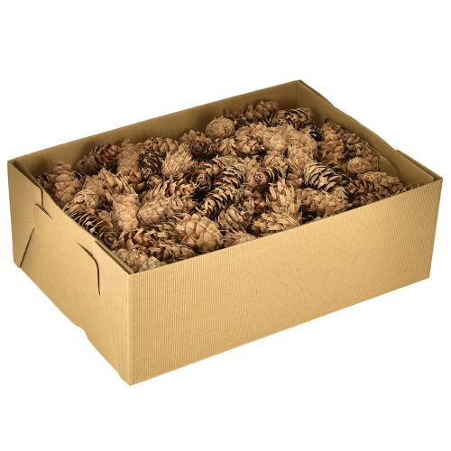 Product Douglas cones 1.3kg