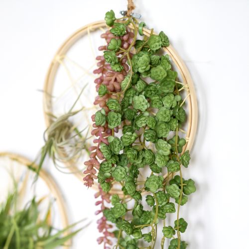 Product Echeveria Artificial Hanging Plants in Green W12cm L50cm
