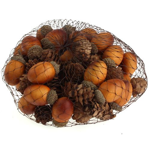 Floristik24 Acorn, cones mix in a net 60pcs