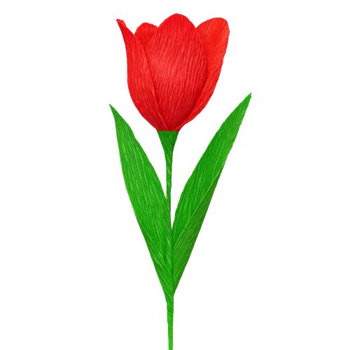 Product Florist crepe paper florist crepe red 50×250cm 5 pieces