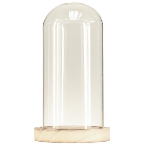 Product Glass bell with wooden base clear natural Ø12cm H21cm