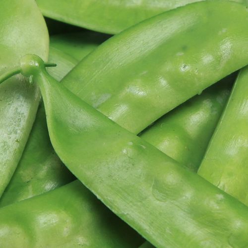 Product Green Peas Artificial Food Vegetables 11.5cm 24 pcs