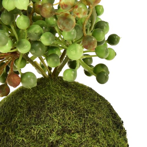 Product Green plant artificial pearl string in moss ball 38cm