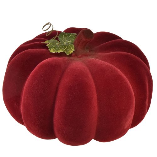 Product Autumn decoration pumpkin flocked red burgundy – pumpkin decoration for a unique autumn ambience 32cm