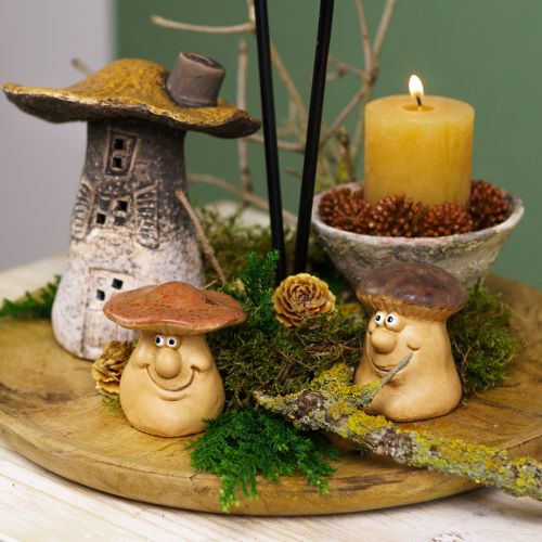 Product Autumn decoration set hedgehog mushrooms dragon – buy decoration box cheap