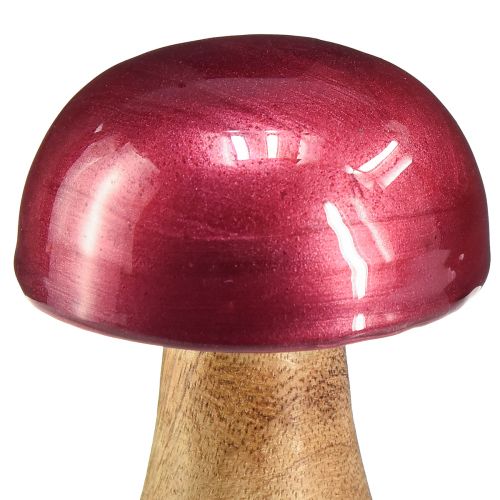 Product Wooden mushrooms decorative mushrooms wood red gloss Ø6cm H10cm 2pcs