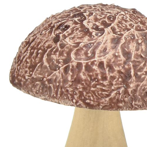 Product Wooden mushrooms decoration mushrooms table decoration autumn brown natural 5×6cm 8 pcs