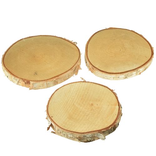 Product Wooden discs decoration birch tree discs Ø15-18cm 3 pcs