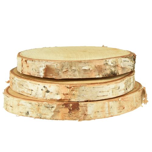 Floristik24 Wooden discs decoration birch tree discs Ø15-18cm 3 pcs