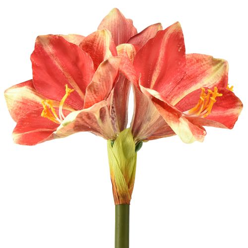 Product Artificial Amaryllis Pink and Cream – Large Stem Flower 76cm