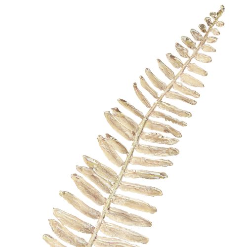 Product Artificial fern branched white cream artificial plants L120cm