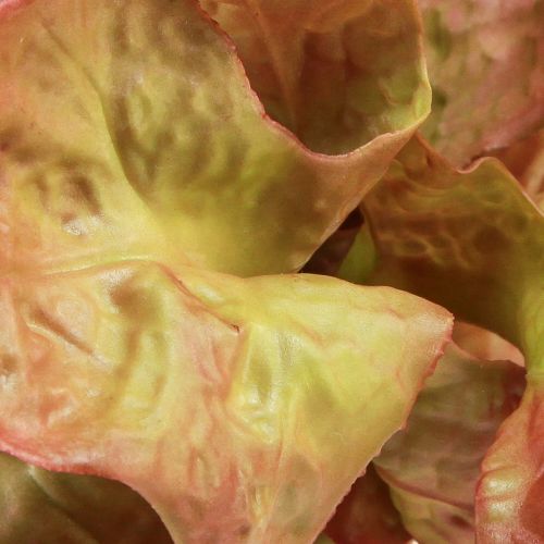 Product Artificial Salad Lollo Rosso Decorative Lettuce Head Ø20cm