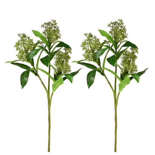 Product Artificial Flowers Green Skimmia japonica Skimmie 45cm 2pcs