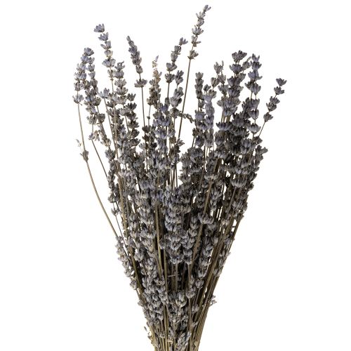 Product Lavender dried fragrant dried flowers 35-40cm 50g