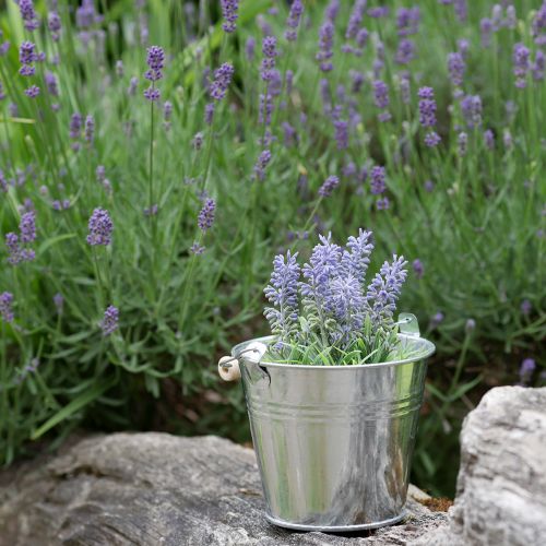 Product Mini lavender in pot artificial plant lavender decoration H16cm