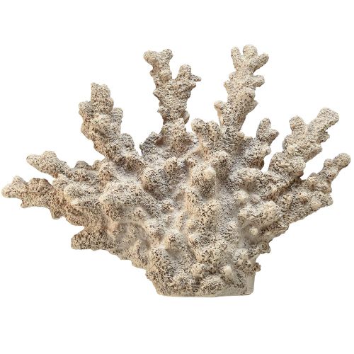 Detailed coral decoration made of polyresin in grey – 26 cm – Maritime elegance for your home