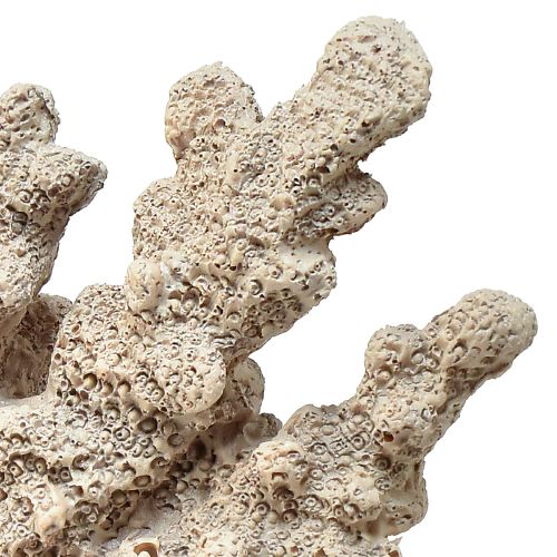 Product Detailed coral decoration made of polyresin in grey – 26 cm – Maritime elegance for your home