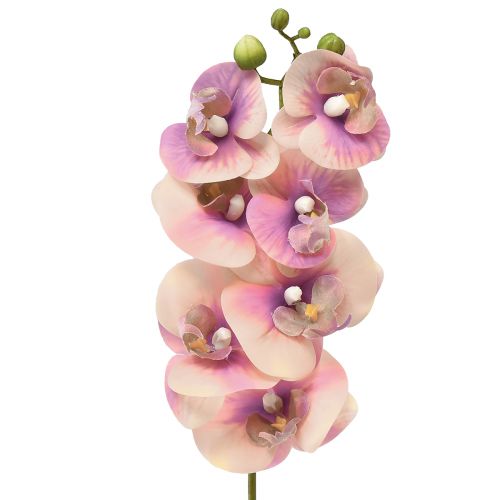 Floristik24 Orchid Phalaenopsis artificial 7 flowers violet cream 73cm