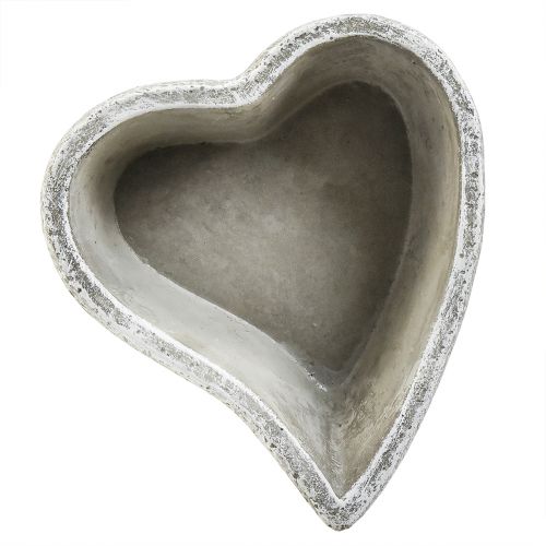 Product Plant bowl heart grave decoration plant heart grey white 18×19cm H7.5cm