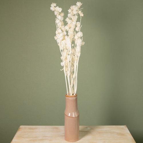 Product Physalis dried bleached lantern flower decoration Nicandra 75-80cm 100g