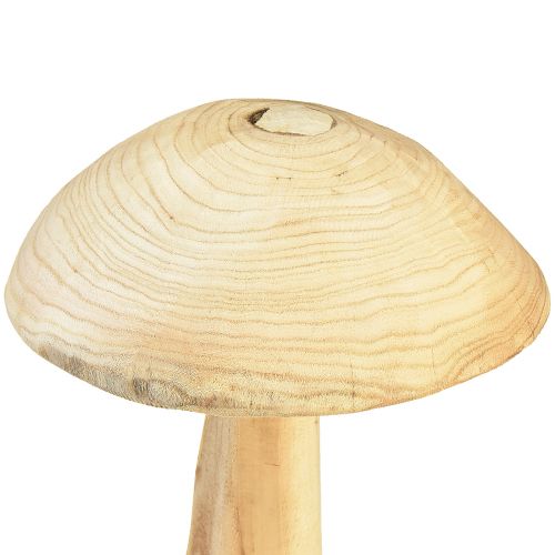 Product Lifelike mushroom sculpture made of elm wood – Rustic design, 37 cm – Stylish garden and interior decoration