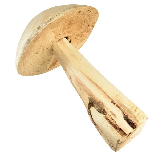 Product Lifelike mushroom sculpture made of elm wood – Rustic design, 37 cm – Stylish garden and interior decoration