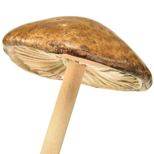 Product Decorative mushrooms on stick, brown, 5.5 cm, 6 pieces - Autumnal garden and living room decoration